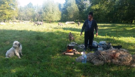 Fotografie de la Transhumanța, cel de-al zecelea element de patrimoniu imaterial înscris în lista UNESCO
