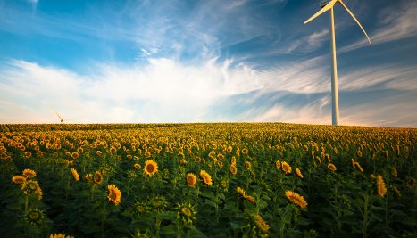 Fotografie de la 5 IUNIE - ZIUA MONDIALĂ A MEDIULUI