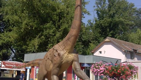 Fotografie de la  Festivalul Dinozaurilor, 14 – 16 iulie, Geoparcul Dinozaurilor 