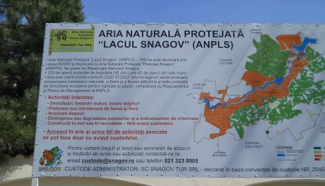 Fotografie de la  Ferestre deschise spre cer. Natură şi cultură – Mănăstiri din jurul Bucureştiului