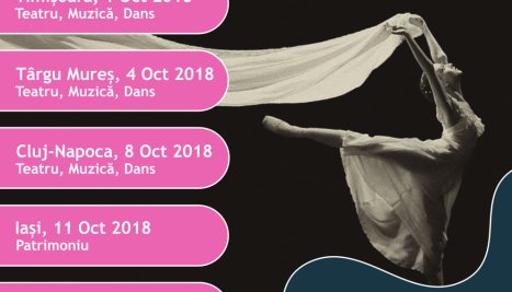 Fotografie de la ”Alternative culture” invites artists and cultural operators to participate in the specialized work-shops for the definition of a Status of the Artist in Romania