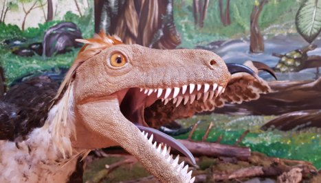 Fotografie de la Festivalul Dinozaurilor 2018, invitație la descoperirea valorilor Geoparcului