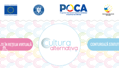 Fotografie de la Formulation of an alternative proposal to public policies for the consolidation of the status of the artist in Romania 