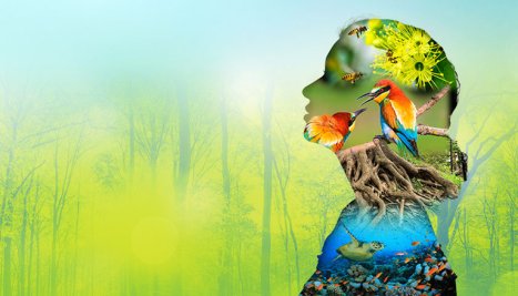 Fotografie de la Familia ONU sărbătorește astăzi Ziua Internațională a Biodiversității